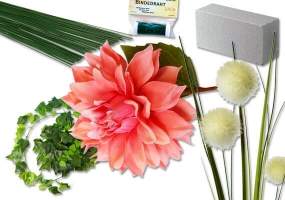 Floristik