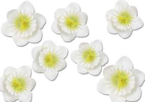 Streublumen