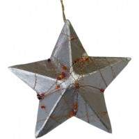 Weihnachtsstern