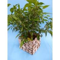 Diy Holzprojekte