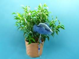 Delfin basteln