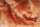 Wollflocken aus Schafschurwolle, 10g, orange