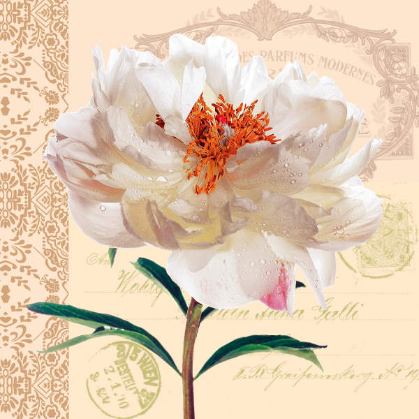 Papierservietten Blume creme 3-lagig, 33x33 cm, 20 Stück