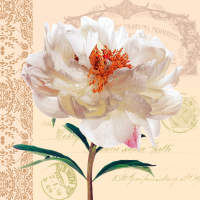 Papierservietten Blume creme 3-lagig, 33x33 cm, 20...