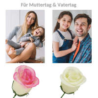 Rose creme Ø ca. 6 cm, ca 26 cm lang 1 Stück Seidenblume Kunstblume