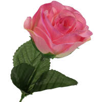 Rose rosa pink Ø 5 cm, 35 cm lang 1 Stück...