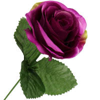 Rose violett Ø 5 cm 35 cm lang 1...