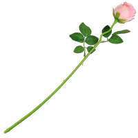 Rose rosa Ø 5 cm Seidenblume 50 cm lang Kunstblume...