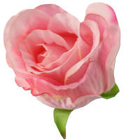 Rose rosa Ø 5 cm Seidenblume 50 cm lang Kunstblume Rose Floristik