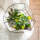 Dekokies silber 1kg Körnung 2 - 3 mm Bastelkies Deko Granulat Kies