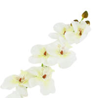 Orchidee creme, 50 cm lang Kunstblume Seidenblume 1 Stück