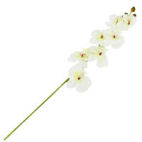 Orchidee creme, 50 cm lang Kunstblume Seidenblume 1 Stück