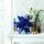 Faltblätter blau Transparent 20 x 20 cm, 32 Blatt, Bascetta Stern 115g/m²