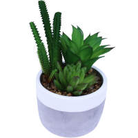 Sukkulente 3er Set groß im Beton Blumentopf Ø 10 x 19 cm Kunstblumen