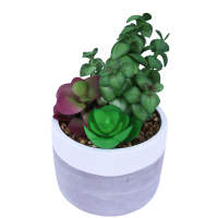 Sukkulente 3er Set groß im Beton Blumentopf Ø 10 x 19 cm Kunstblumen