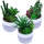 Sukkulente 3er Set groß im Beton Blumentopf Ø 10 x 19 cm Kunstblumen