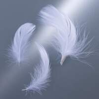 Dekofedern weiß 10g