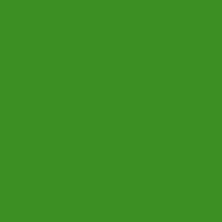 Color-Dekorfolie grün 100 x 200 mm, 2 Stück