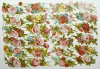 Poesiebild Rosen in pink 24 x 17 cm, 1 Blatt