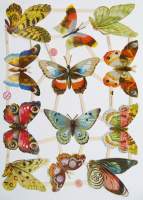 Poesiebild Schmetterlinge, 1 Blatt, ca. 24x17cm, mehrere...