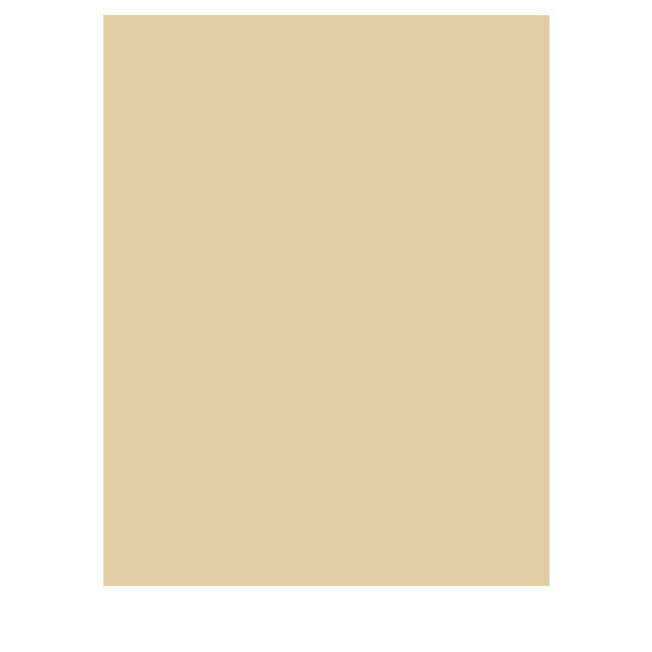 Fotokarton chamois 50 Blatt 300g/m² A4 | 21 x 29,7 cm