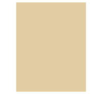 Fotokarton chamois 50 Blatt 300g/m² A4 | 21 x 29,7 cm