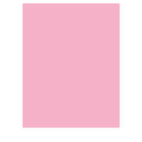 Fotokarton rosa 50 Blatt 300g/m² A4 | 21 x 29,7 cm