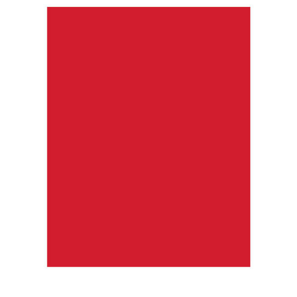 Fotokarton rot 50 Blatt 300g/m² A4 | 21 x 29,7 cm