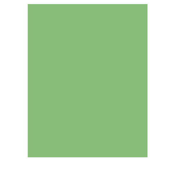 Fotokarton grasgrün 50 Blatt 300g/m² A4 | 21 x 29,7 cm