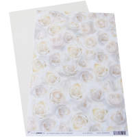 Motivkarton Weiße Rosen, 200 g/m², DIN A4, 5 Blatt