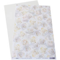 Motivkarton Weiße Rosen, 200 g/m², DIN A4, 5...