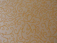 Fotokarton glanzornam apricot, 220g/qm, Din A4, 10 Blatt