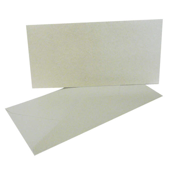 Doppelkarten silber  lang 5 Stück, DIN lang 10,5 x 21 cm