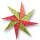 Faltblätter Weihnachten 20x20 cm, 50 Blatt in 5 Motiven