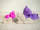Sandformen Tiere 3D Sandfiguren Tiere Set aus Kunststoff