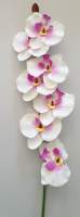 Orchidee weiß-pink, 50 cm lang Seidenblume...