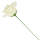 Rose creme Ø 7 - 8 cm, 27 cm lang Seidenblume 1 Stück Kunstblume