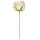 Rose creme rosa, Ø 7 - 8 cm, 25 cm lang