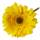 Gerbera gelb Ø 7 cm, ca. 30 cm lang 1 Stück Kunstblume Seidenblume