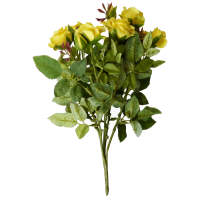 Rosenstrauch gelb 25 cm lang, 1 Bund mit 5 Stk....