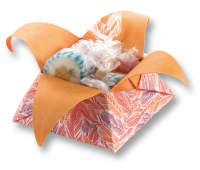 Faltblätter Wildlife 50 Blatt, 15x15 cm, 80 g/m²